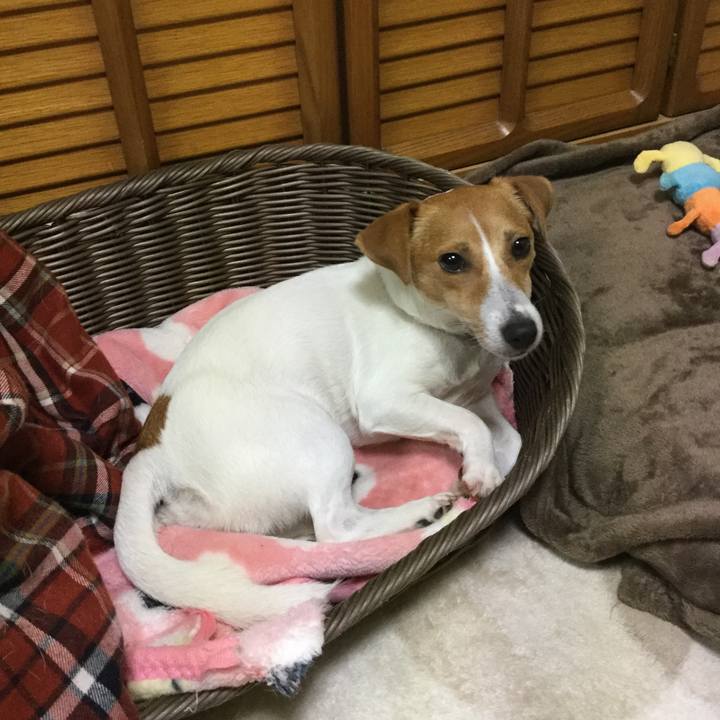 7821fb86 9aeb 4925 834c 03cb984f0449