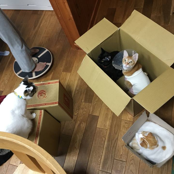 782201eb 3b4d 4e15 9a45 28cd18570d5f