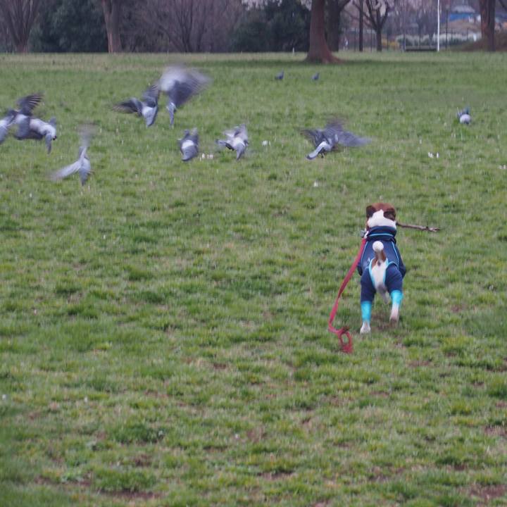 78220553 e10a 4dc3 8855 069e0446db90