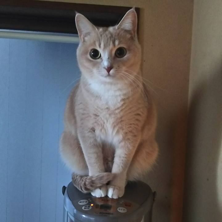 782228de 9df9 48ca 9af9 4ae72dbd076f