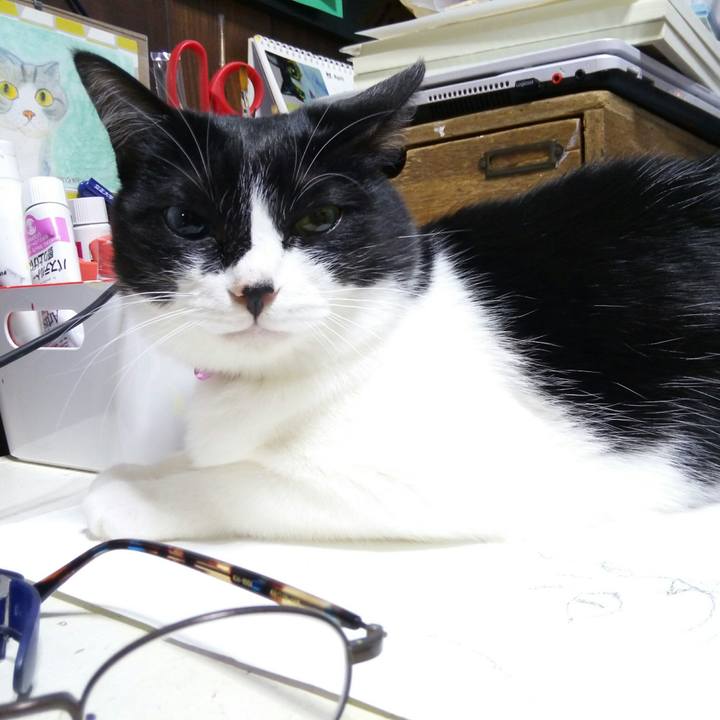 7822b366 b07c 44e7 b10d fd89d4671bc6