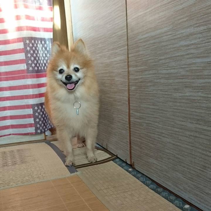 7822dcbd c5d7 4e15 b628 733e1de15beb