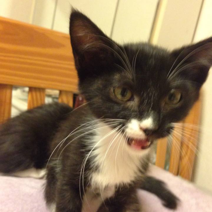 782305e2 085c 4a8d a2c7 1e81fb80f36f