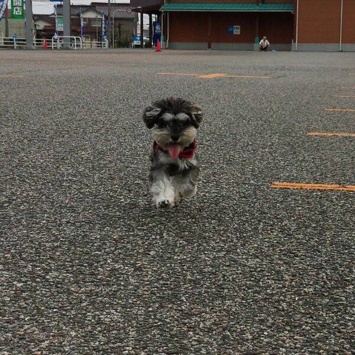 78239e61 d255 46e2 a6ca c0ac451789f7