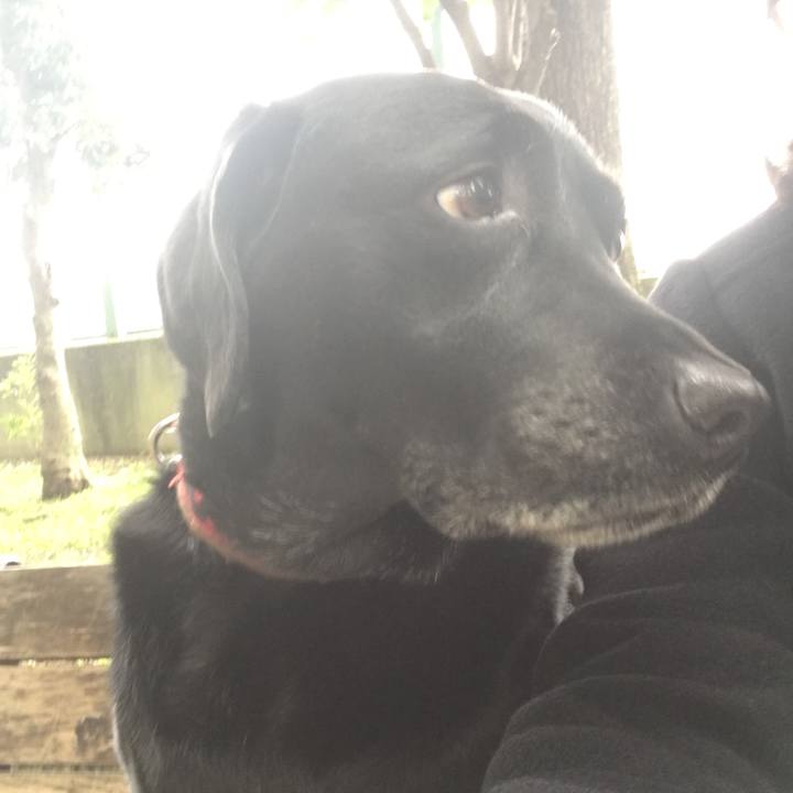 7823e291 5dba 4499 9ff1 4ba564a37197