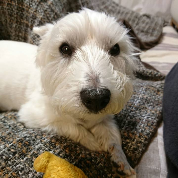 7824cf44 d8ae 41d9 8351 af34e1444e0e