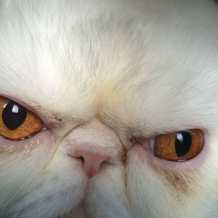 78250896 93e8 488d a26d e0fedf0c396e