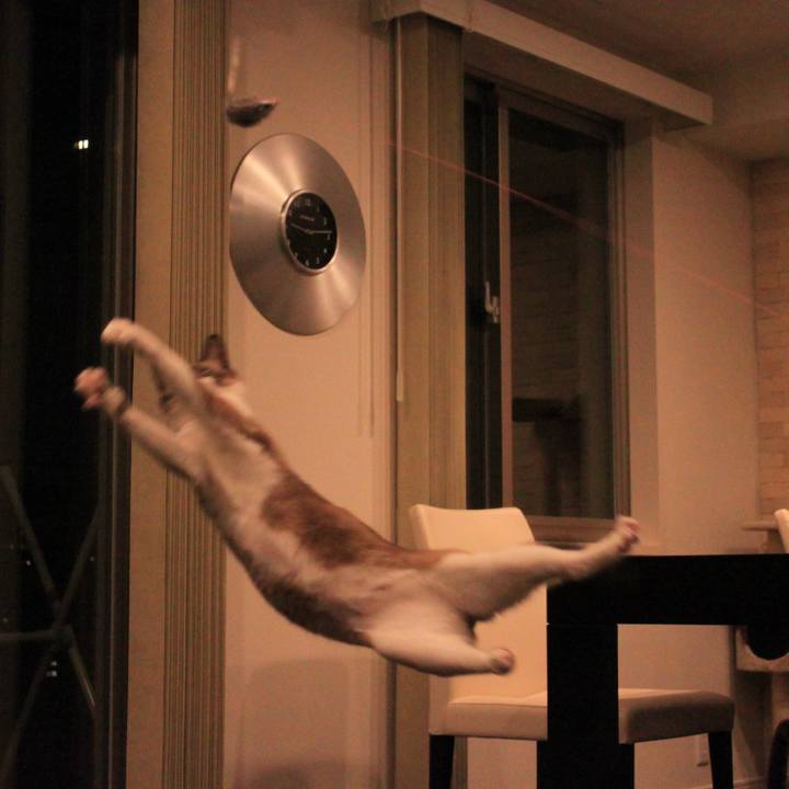 7825c35b f2fb 4cb3 8898 6a47f63b4a23