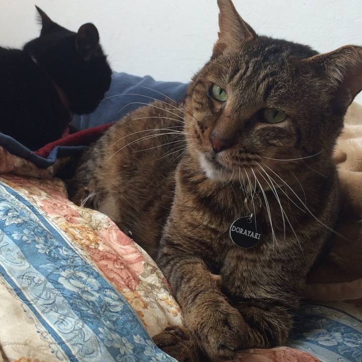 782625b7 5fd5 4e19 a2f9 4cec3fa78ee2