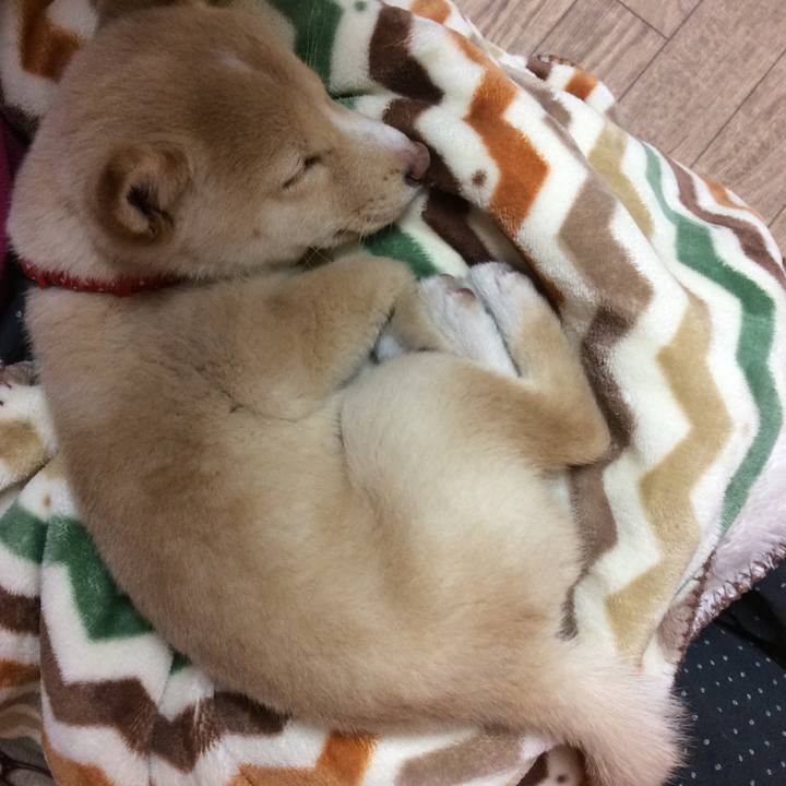 78267db8 7503 40fd 937e b591ff8ea607