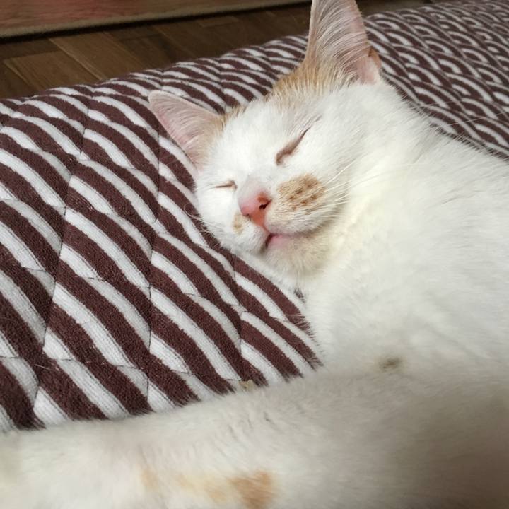 782689d1 1b9a 4fca a705 914ce9c4c08c