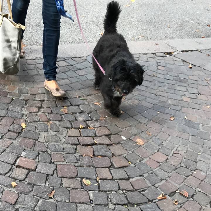 7827a1f1 235d 4904 9bdb dd7f7bcaf969