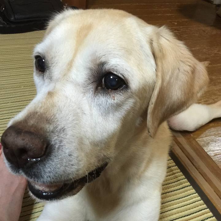 78282dda 26f3 49f4 a372 00b012cd68b2