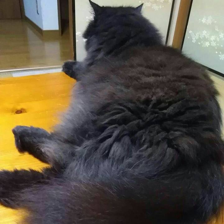 7828effe 54e0 4554 b4e2 f0e2fed40987