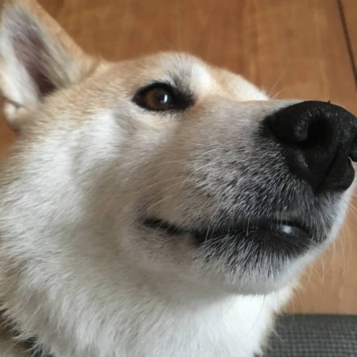 7828fed1 a9cd 44bc 8211 79c133fe3306