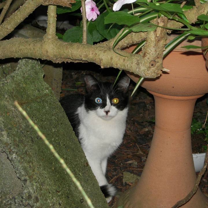 78291a61 6469 4a78 b7d0 e63a70812386