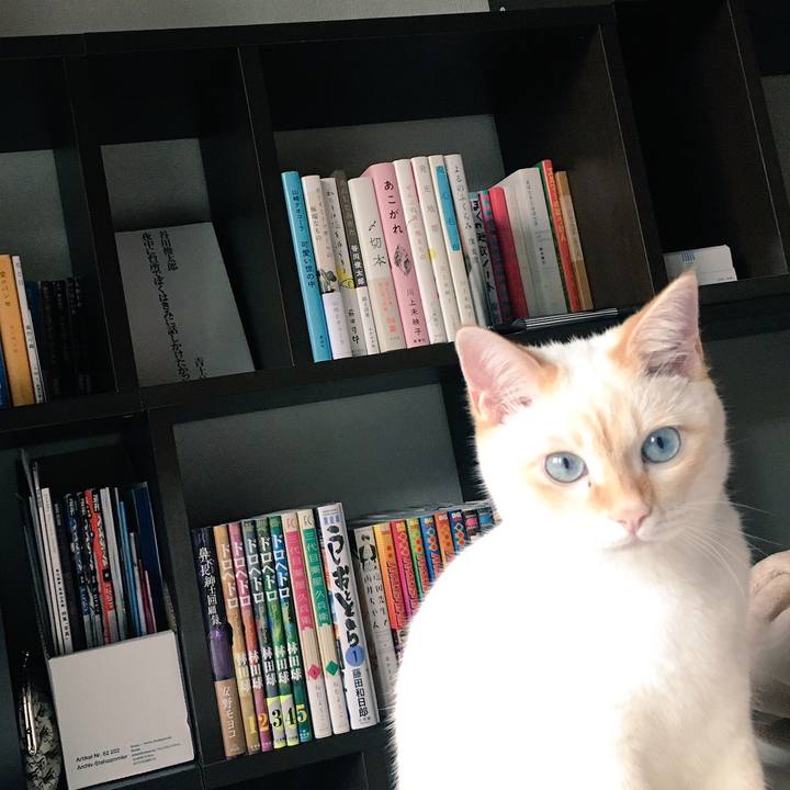 7829591e 500b 430d 8c49 eea36ad76d40