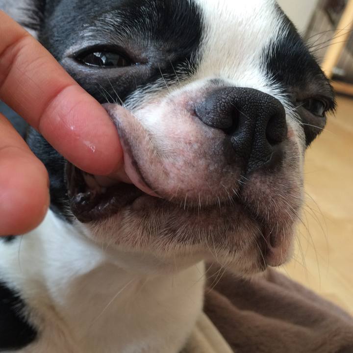 782a1629 2169 4a97 91fc 2b9c0eefd808