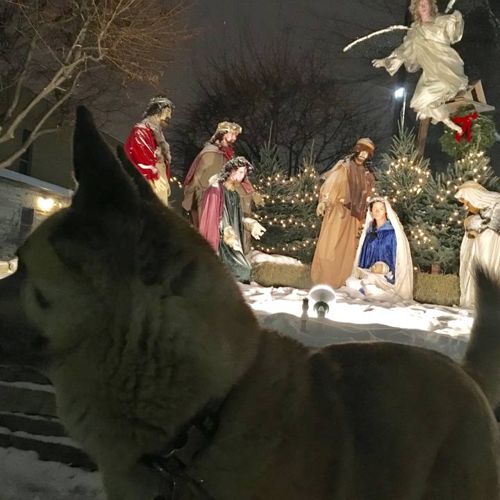 782a3b71 f2b5 413d 9863 7bf12b35c4b7