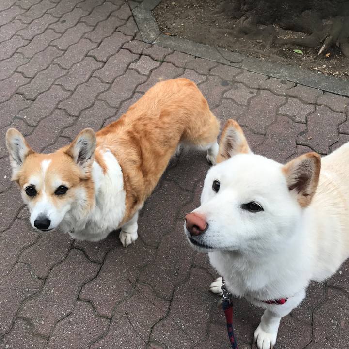 782a4066 6baa 4e73 b9d6 62dc89262d27