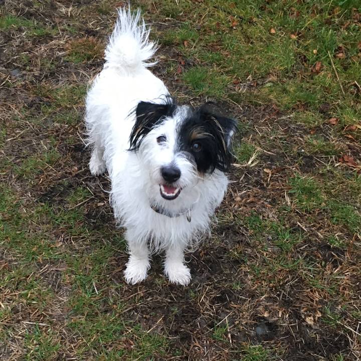 782b23c9 8677 4f7c 8528 78843dbd8636