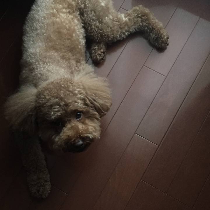 782b9c2c f7b1 4580 acde 05ff839103d0