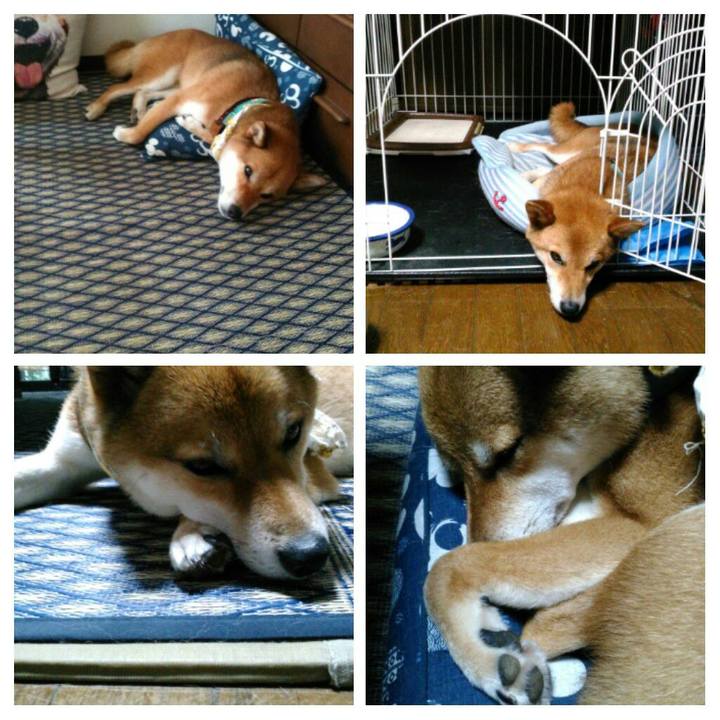 782cac89 44ab 4cfd 8ff2 e77d3712759c