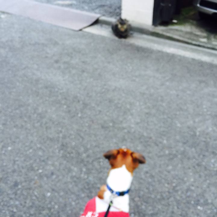 782cafee 9581 4fb4 b83e 3163d277b9b7