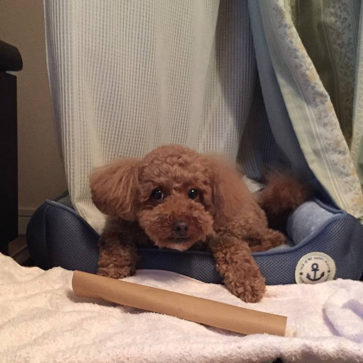 782cbff3 709d 440c a04c 2212845b3fed