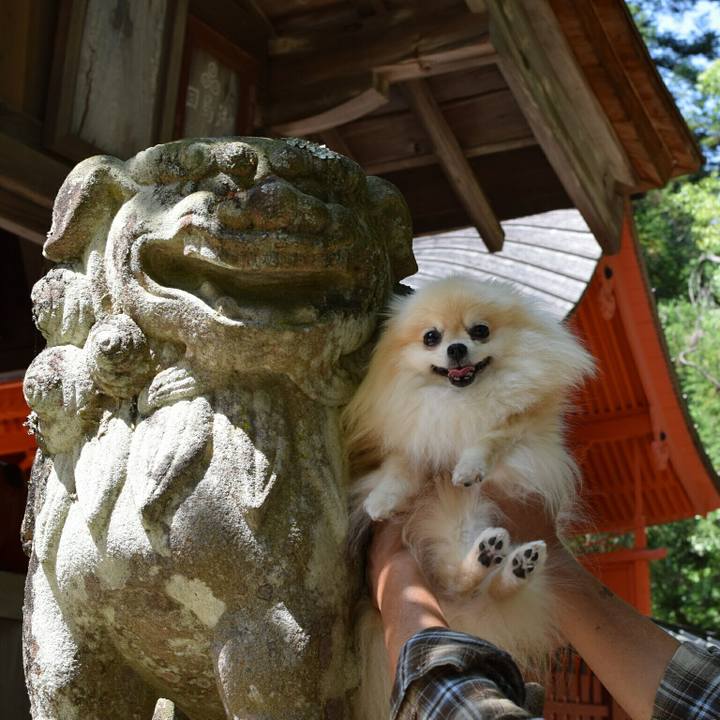 782d2114 872d 4d4b b8a2 ac3e4cab63a4