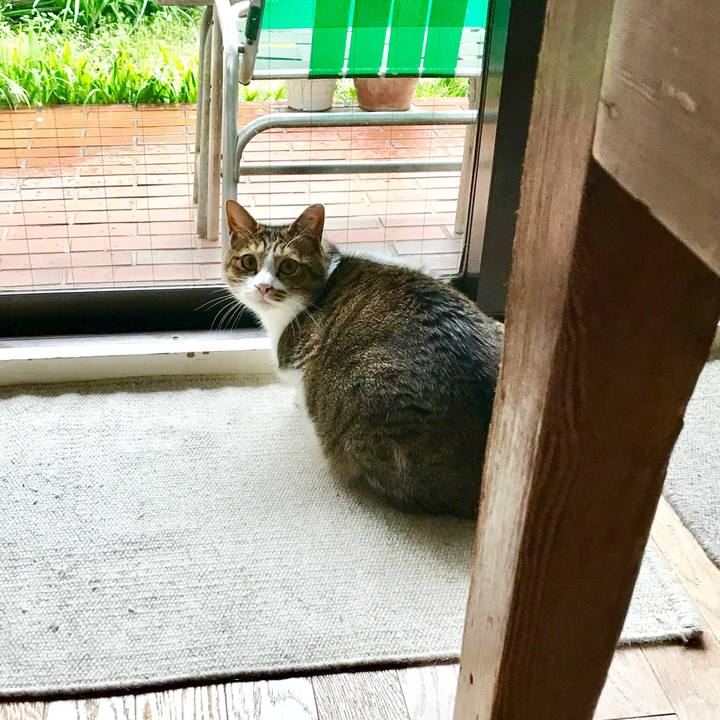 782d3329 8bdf 443b 8fe2 1c069aa48008