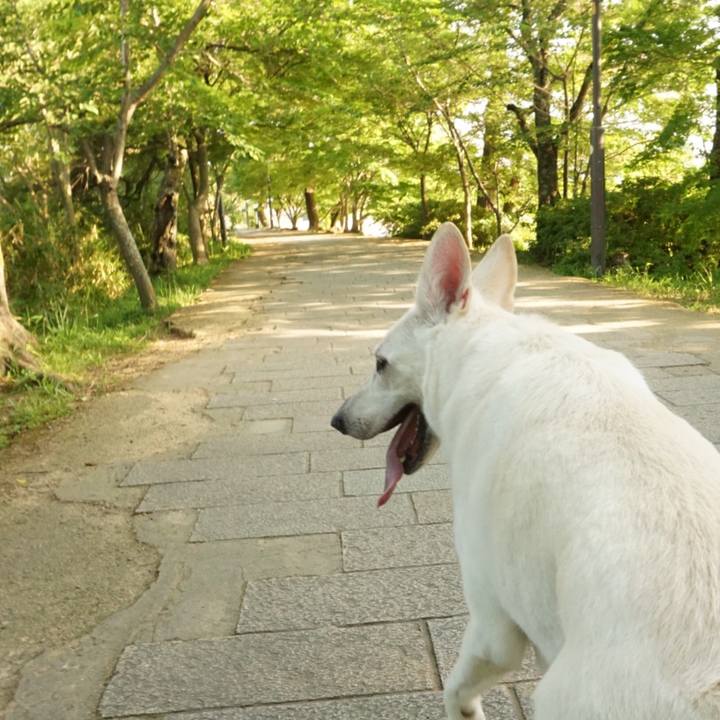 782d8345 20a8 4f59 b8a6 14587bb597f8