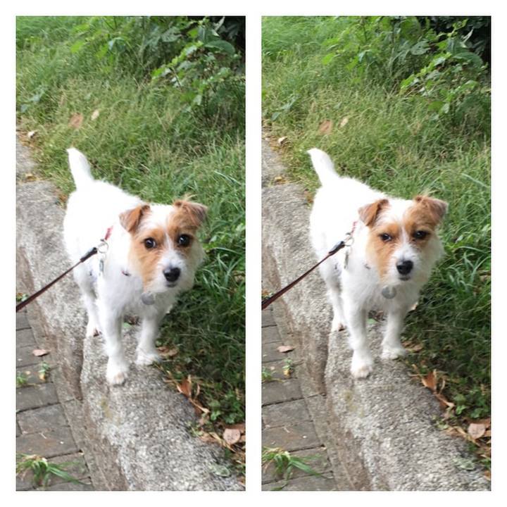 782dd839 b648 49fd 8df6 f25b0cccfc9e