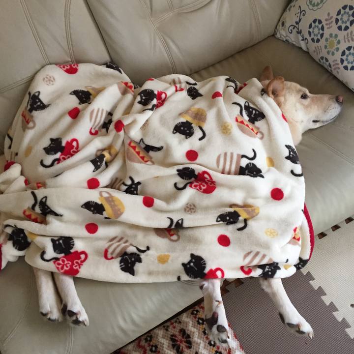 782e0a13 7a2c 4897 b607 d3ccd566792a