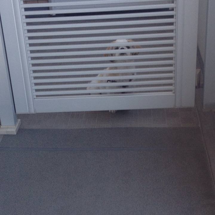 782e0fbd c665 4f71 b3cb 8a65ee39ba93