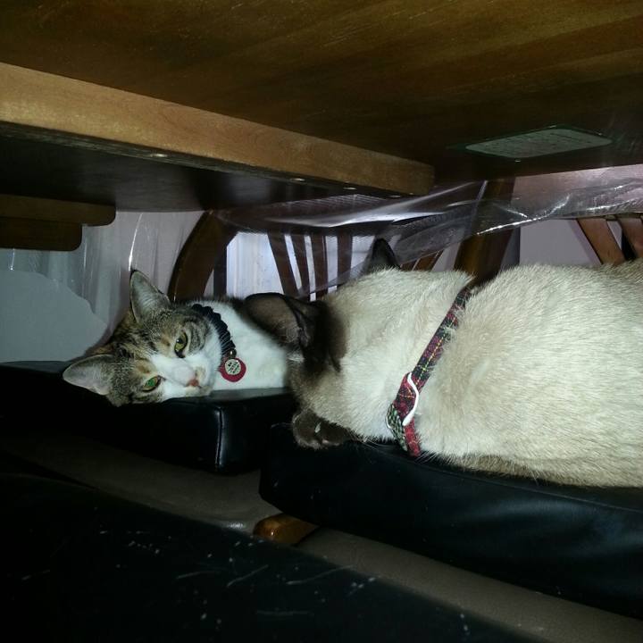 782e68fa 4a44 4691 9ba5 24729e334c3f