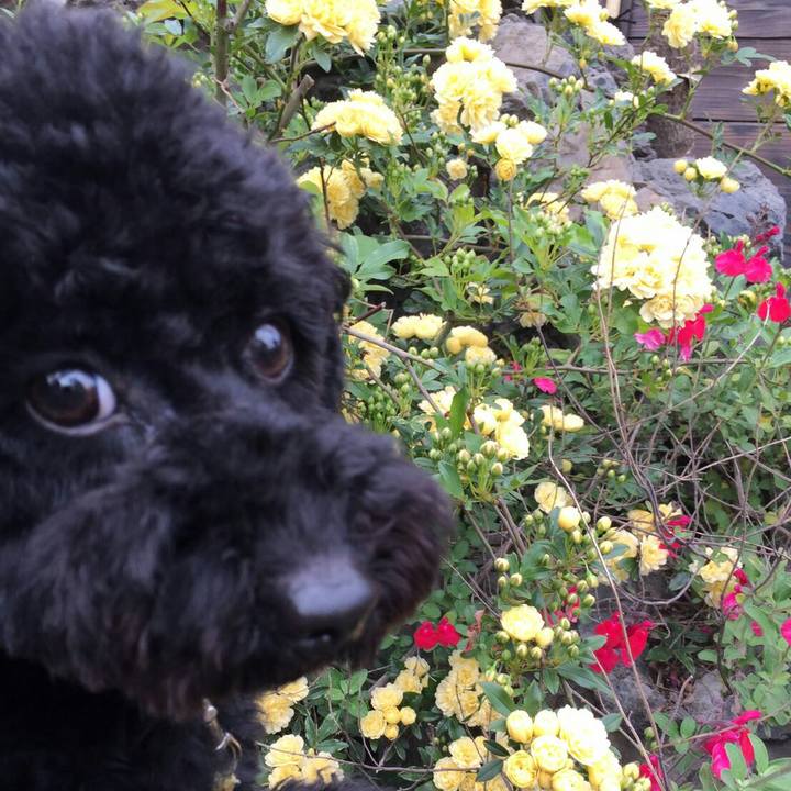 782e699a 9be1 409d a75b a13ce74a526b