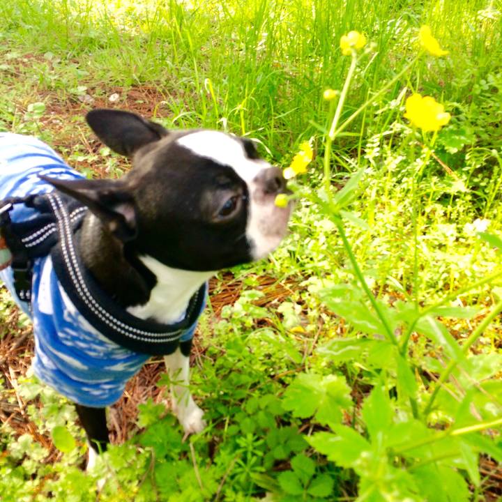 782e8271 5224 4e04 9801 ccedee8ba485