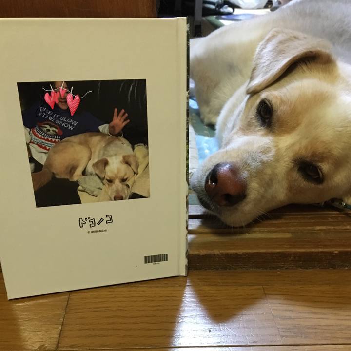 782ee0da 81f6 4b88 8848 eece8111eb38