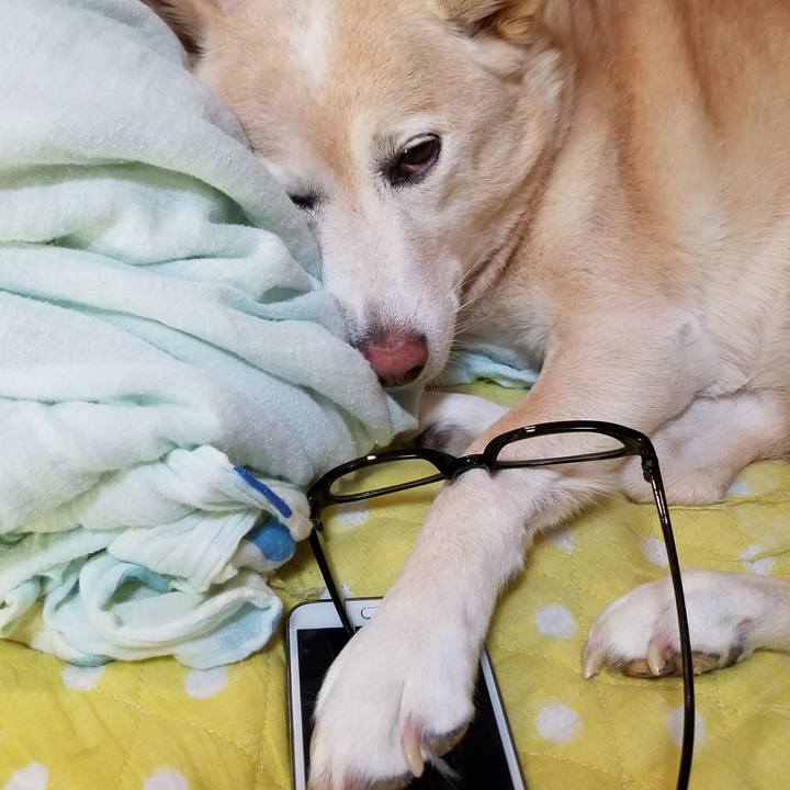 782f12d2 8ccf 4f17 82d1 288a55afb109