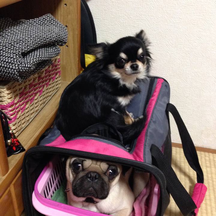 782fee5c 5a04 47f8 a32c b18fc184d468