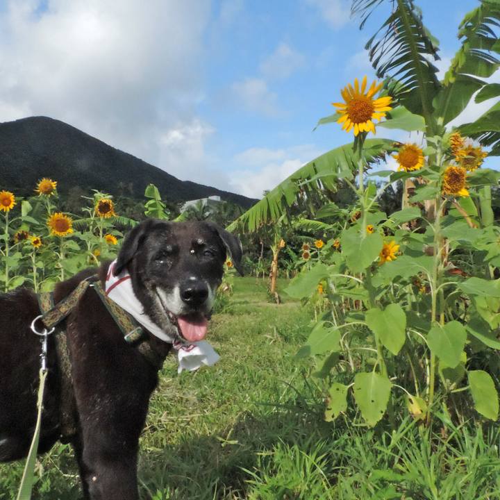 782ff6ba 15c2 4acb 8e92 49a5fcffd888