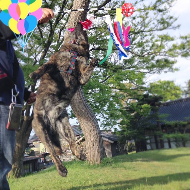 783010b0 81a3 40ea 9570 e41d4bc674ae