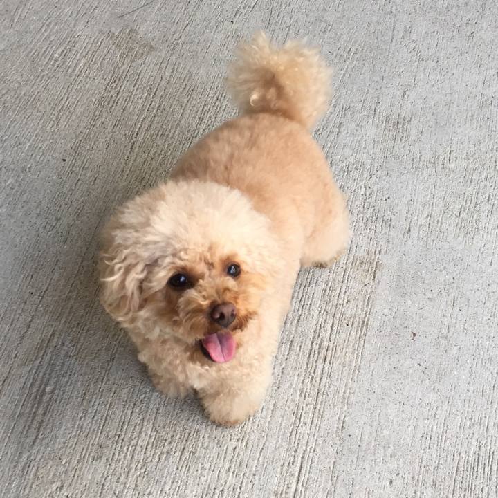 7830408a 5e37 48ed a1ae 58919336d2c3