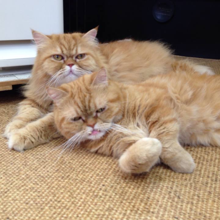 78304864 cc2e 4ff4 8c9e 159a84b2af9f