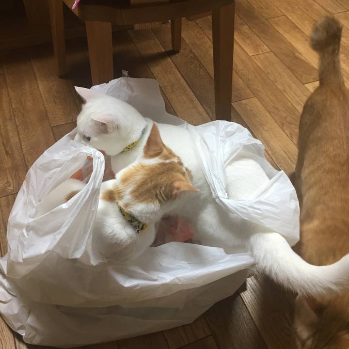 7830f448 aacb 4561 a830 83d10dda821f