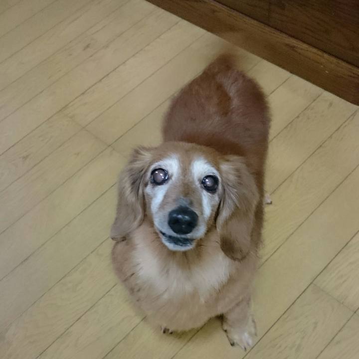 78320f82 a039 49bb 82f7 ee2fdb11ec0c