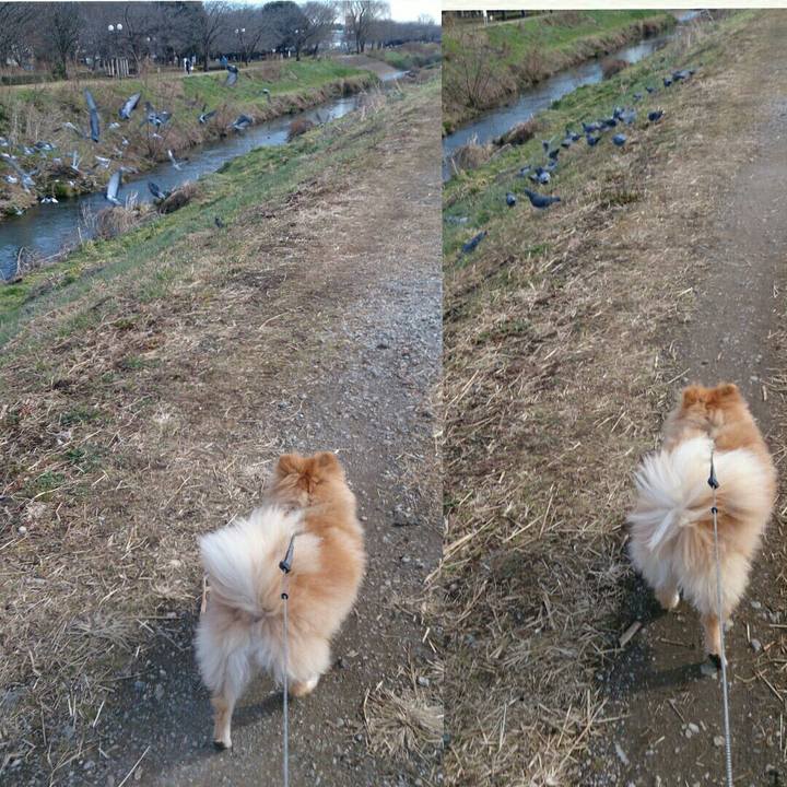 783317aa 5fad 43a5 9b28 9c343676572e