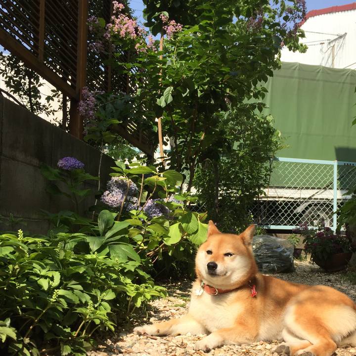 78335565 a9fb 48e5 a8fe 156ad41e0ae8