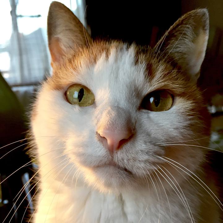 783402b0 5d3d 4097 9029 6f7f56baa96b